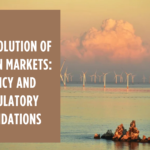 The Evolution of Carbon Markets