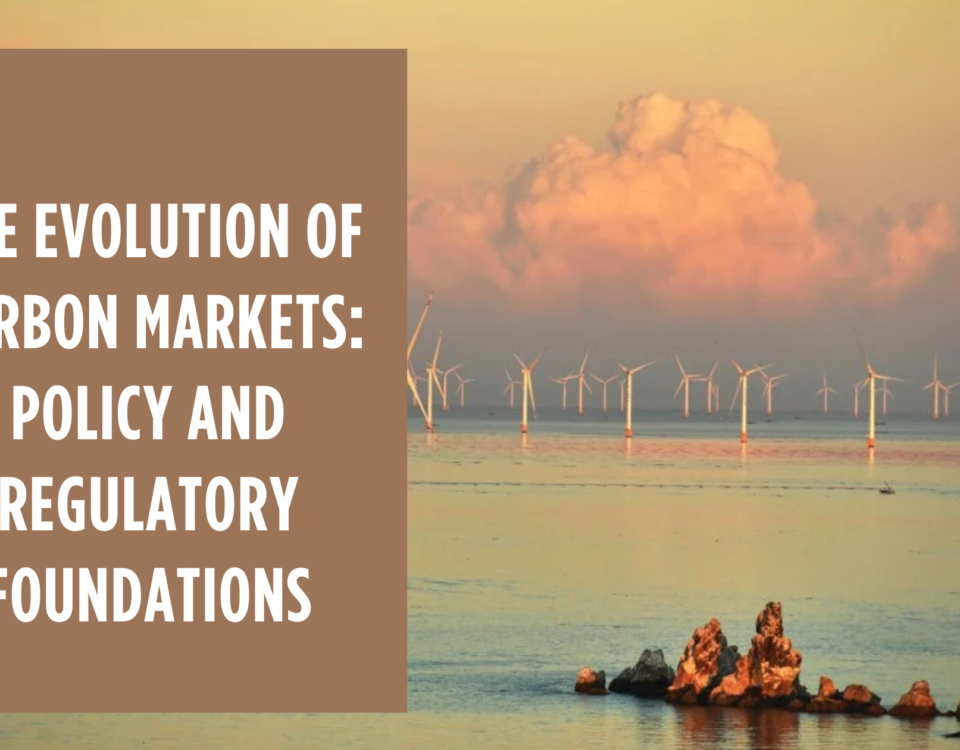 The Evolution of Carbon Markets